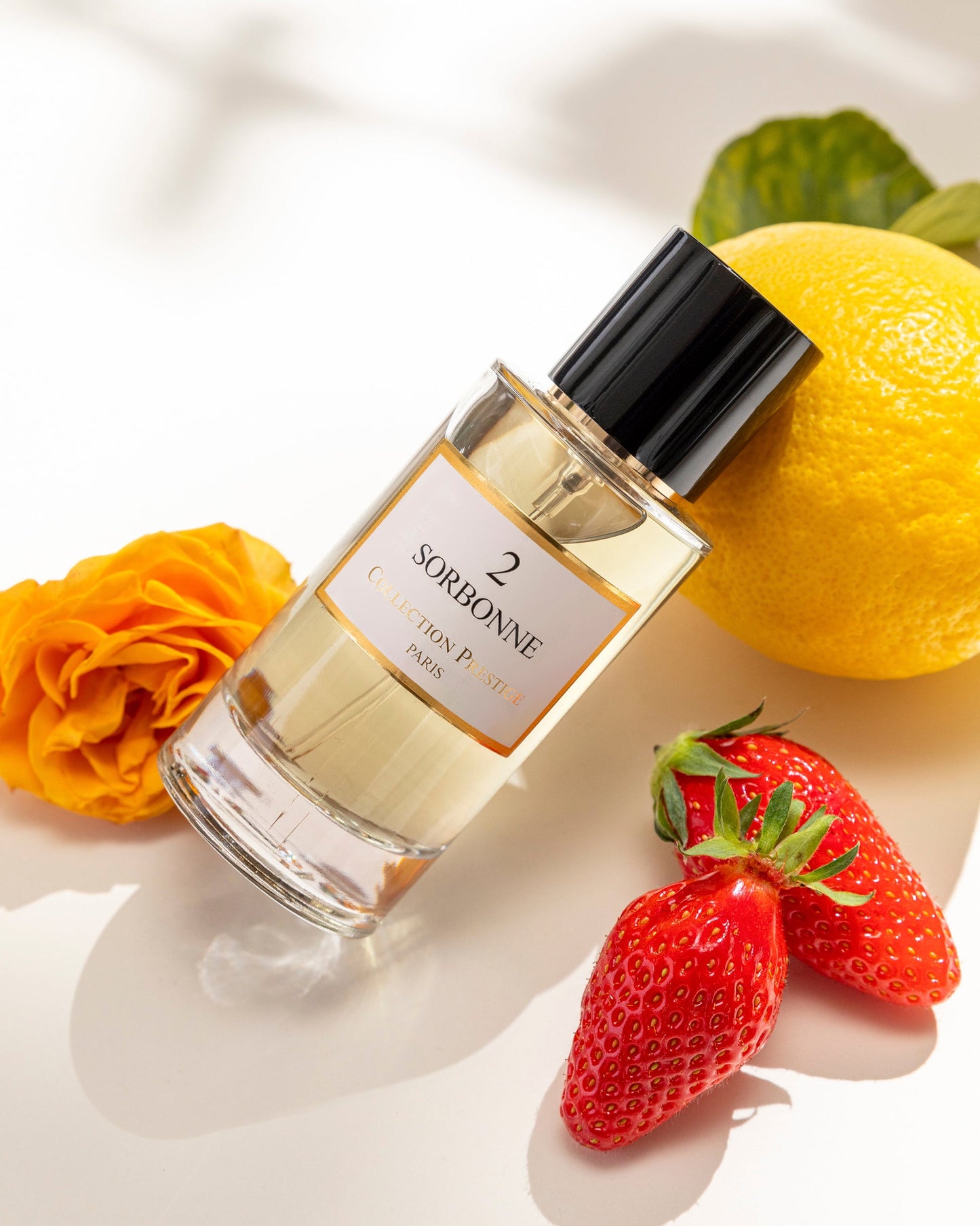 Sorbonne N°2 - Wa2ss Parfums